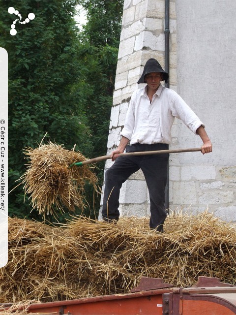 le Retour des Alpages, édition 2010 - le sam. 09 octobre 2010, dans la vieille ville à Annecy. – « le Retour des Alpages, édition 2010 » – mots associés : alpage, descente des alpages, fête