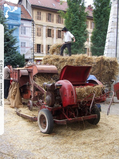 le Retour des Alpages, édition 2010 - le sam. 09 octobre 2010, dans la vieille ville à Annecy. – « le Retour des Alpages, édition 2010 » – mots associés : alpage, descente des alpages, fête