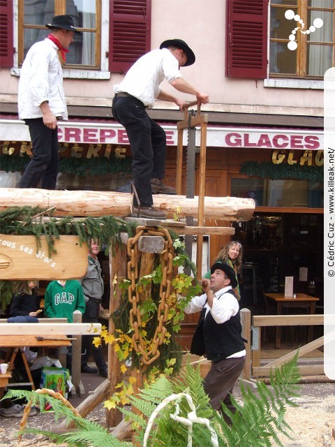 le Retour des Alpages, édition 2010 - le sam. 09 octobre 2010, dans la vieille ville à Annecy. — « le Retour des Alpages, édition 2010 » — mots associés : alpage, descente des alpages, fête