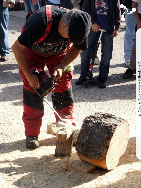 le Retour des Alpages, édition 2010 - le sam. 09 octobre 2010, dans la vieille ville à Annecy. — « le Retour des Alpages, édition 2010 » — mots associés : alpage, descente des alpages, fête