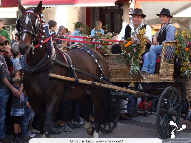 le Retour des Alpages, édition 2010 - le sam. 09 octobre 2010, dans la vieille ville à Annecy. — « le Retour des Alpages, édition 2010 » — mots associés : alpage, descente des alpages, fête