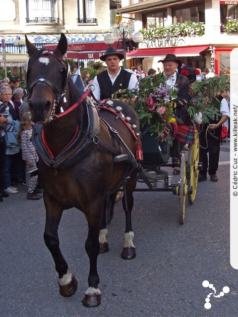 le Retour des Alpages, édition 2010 - le sam. 09 octobre 2010, dans la vieille ville à Annecy. – « le Retour des Alpages, édition 2010 » – mots associés : alpage, descente des alpages, fête