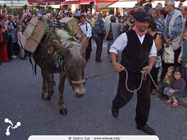 le Retour des Alpages, édition 2010 - le sam. 09 octobre 2010, dans la vieille ville à Annecy. – « le Retour des Alpages, édition 2010 » – mots associés : alpage, descente des alpages, fête
