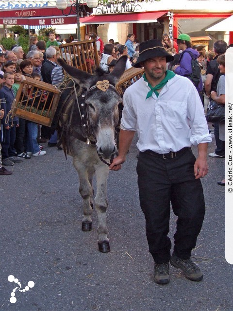 le Retour des Alpages, édition 2010 - le sam. 09 octobre 2010, dans la vieille ville à Annecy. – « le Retour des Alpages, édition 2010 » – mots associés : alpage, descente des alpages, fête