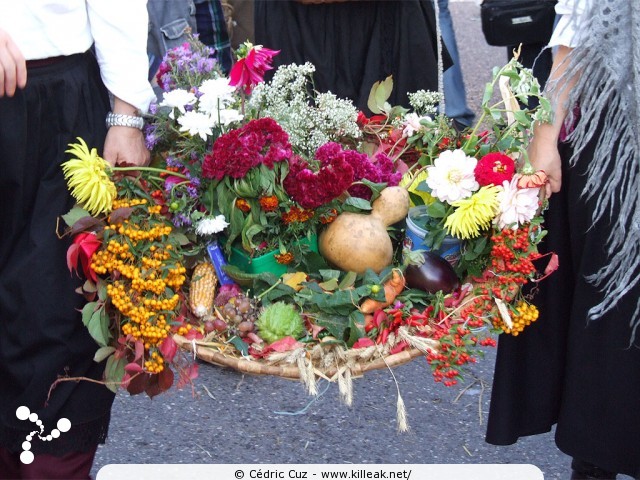 le Retour des Alpages, édition 2010 - le sam. 09 octobre 2010, dans la vieille ville à Annecy. – « le Retour des Alpages, édition 2010 » – mots associés : alpage, descente des alpages, fête