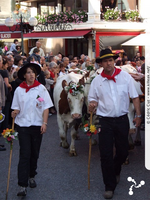 le Retour des Alpages, édition 2010 - le sam. 09 octobre 2010, dans la vieille ville à Annecy. — « le Retour des Alpages, édition 2010 » — mots associés : alpage, descente des alpages, fête