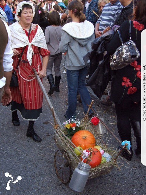 le Retour des Alpages, édition 2010 - le sam. 09 octobre 2010, dans la vieille ville à Annecy. – « le Retour des Alpages, édition 2010 » – mots associés : alpage, descente des alpages, fête