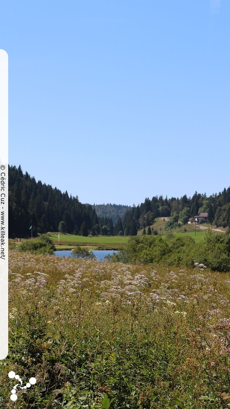 « Après-midi d'Été dans le Jura - Lac de Lamoura » — mots associés : jura, photo