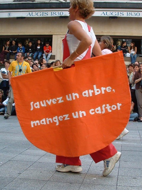 Le Monde des Villes, les Villes du Monde - Défilé de la Biennale de la Danse de Lyon, édition 2006 - le dim. 17 septembre 2006, à Lyon, entre les places des Terreaux et Bellecour, via la Rue de la Rép – « Le Monde des Villes, les Villes du Monde - Défilé de la Biennale de la Danse de Lyon, édition 2006 » –
