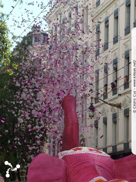 « La Vie en Rose - Défilé de la Biennale de la Danse de Lyon, édition 2010 » – La Vie en Rose - Défilé de la Biennale de la Danse de Lyon, édition 2010, le dim. 12 septembre 2010, à Lyon, entre les places des Terreaux et Bellecour, via la Rue de la République. – mots associés : biennale, danse, défilé, lyon