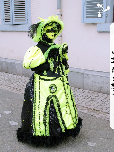 Carnaval vénitien, édition 2017 - les ven. 23, sam. 24 et dim. 25 février 2018, Annecy, Haute-Savoie. — « Carnaval Vénitien d'Annecy, édition 2018 » — mots associés : carnaval vénitien