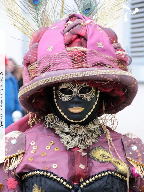 Carnaval vénitien, édition 2017 - les ven. 23, sam. 24 et dim. 25 février 2018, Annecy, Haute-Savoie. – « Carnaval Vénitien d'Annecy, édition 2018 » – mots associés : carnaval vénitien