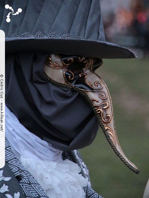 Carnaval vénitien, édition 2017 - les ven. 23, sam. 24 et dim. 25 février 2018, Annecy, Haute-Savoie. – « Carnaval Vénitien d'Annecy, édition 2018 » – mots associés : carnaval vénitien