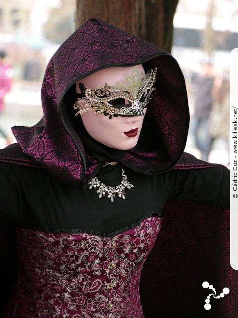 Carnaval vénitien, édition 2017 - les ven. 23, sam. 24 et dim. 25 février 2018, Annecy, Haute-Savoie. – « Carnaval Vénitien d'Annecy, édition 2018 » – mots associés : carnaval vénitien