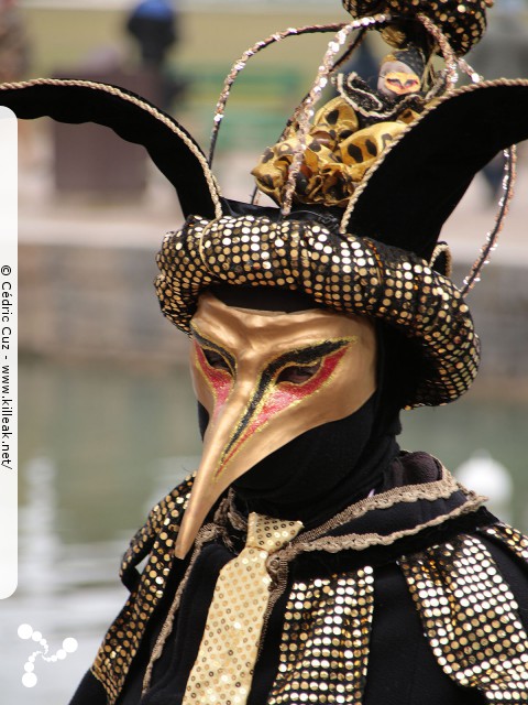 Carnaval vénitien, édition 2017 - les ven. 23, sam. 24 et dim. 25 février 2018, Annecy, Haute-Savoie. – « Carnaval Vénitien d'Annecy, édition 2018 » – mots associés : carnaval vénitien