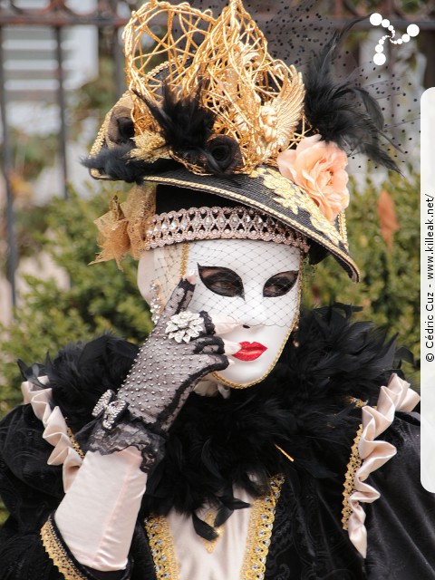Carnaval vénitien, édition 2017 - les ven. 23, sam. 24 et dim. 25 février 2018, Annecy, Haute-Savoie. – « Carnaval Vénitien d'Annecy, édition 2018 » – mots associés : carnaval vénitien