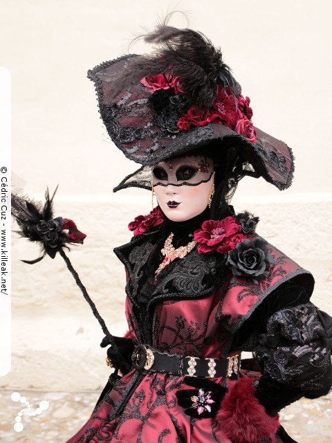 Carnaval vénitien, édition 2017 - les ven. 23, sam. 24 et dim. 25 février 2018, Annecy, Haute-Savoie. – « Carnaval Vénitien d'Annecy, édition 2018 » – mots associés : carnaval vénitien