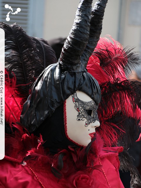 Carnaval vénitien, édition 2017 - les ven. 23, sam. 24 et dim. 25 février 2018, Annecy, Haute-Savoie. – « Carnaval Vénitien d'Annecy, édition 2018 » – mots associés : carnaval vénitien