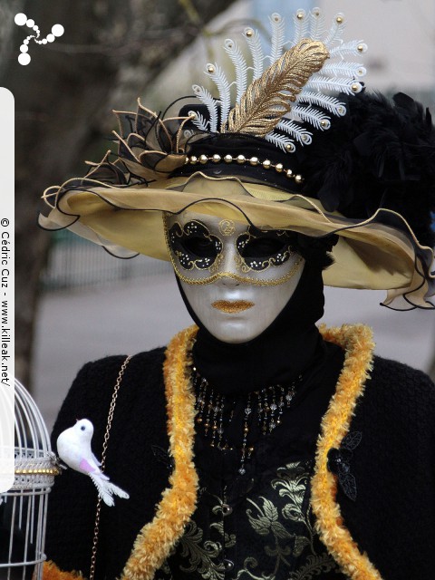 Carnaval vénitien, édition 2017 - les ven. 23, sam. 24 et dim. 25 février 2018, Annecy, Haute-Savoie. — « Carnaval Vénitien d'Annecy, édition 2018 » — mots associés : carnaval vénitien