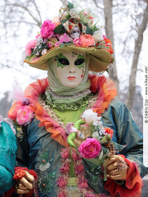 Carnaval vénitien, édition 2017 - les ven. 23, sam. 24 et dim. 25 février 2018, Annecy, Haute-Savoie. — « Carnaval Vénitien d'Annecy, édition 2018 » — mots associés : carnaval vénitien