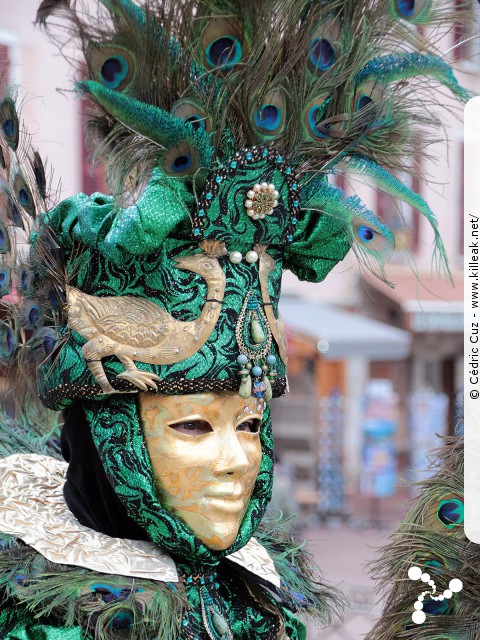 Carnaval vénitien, édition 2017 - les ven. 23, sam. 24 et dim. 25 février 2018, Annecy, Haute-Savoie. – « Carnaval Vénitien d'Annecy, édition 2018 » – mots associés : carnaval vénitien