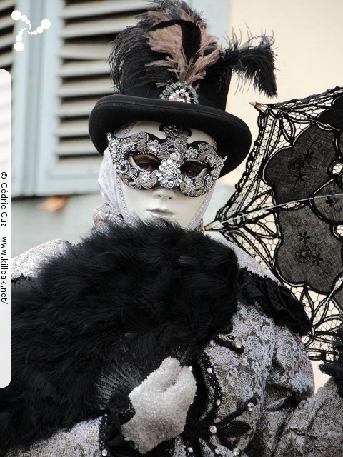 Carnaval vénitien, édition 2017 - les ven. 23, sam. 24 et dim. 25 février 2018, Annecy, Haute-Savoie. – « Carnaval Vénitien d'Annecy, édition 2018 » – mots associés : carnaval vénitien