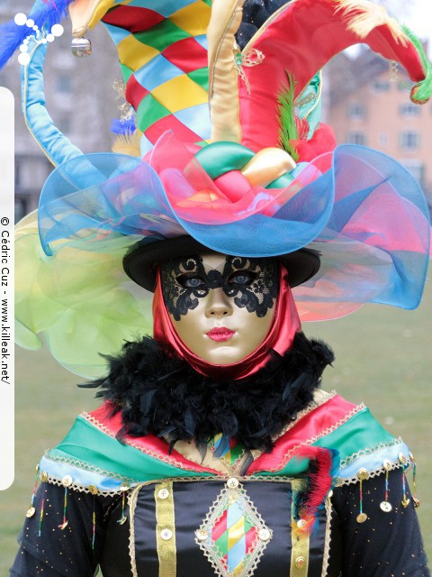 Carnaval vénitien, édition 2017 - les ven. 23, sam. 24 et dim. 25 février 2018, Annecy, Haute-Savoie. – « Carnaval Vénitien d'Annecy, édition 2018 » – mots associés : carnaval vénitien