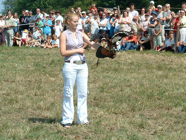 Fête western à 'Évires City', édition 2004 - le sam. 24 en soirée et le dim. 25 juillet 2004 ; Évires, Hte-Savoie. — « Fête western à 'Évires City', édition 2004 » —