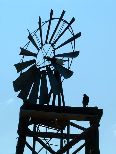 Fête western à 'Évires City', édition 2004 - le sam. 24 en soirée et le dim. 25 juillet 2004 ; Évires, Hte-Savoie. — « Fête western à 'Évires City', édition 2004 » —