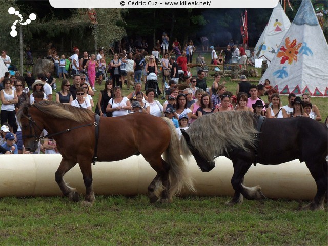 Fête western à 'Évires City', édition 2011 - les sam. 30 au soir et dim. 31 juillet 2011 toute la journée, Évires fait la fête sur le thème du western... – « Fête western à 'Évires City', édition 2011 » – Spectacles et animations équestres, show de line-dance, concerts acoustiques de musique country. – mots associés : évires, fête, western