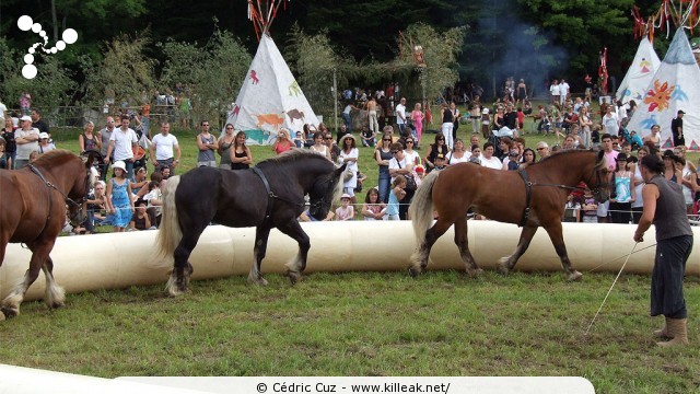 Fête western à 'Évires City', édition 2011 - les sam. 30 au soir et dim. 31 juillet 2011 toute la journée, Évires fait la fête sur le thème du western... – « Fête western à 'Évires City', édition 2011 » – Spectacles et animations équestres, show de line-dance, concerts acoustiques de musique country. – mots associés : évires, fête, western