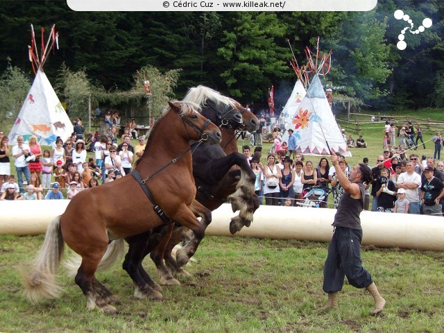 Fête western à 'Évires City', édition 2011 - les sam. 30 au soir et dim. 31 juillet 2011 toute la journée, Évires fait la fête sur le thème du western... – « Fête western à 'Évires City', édition 2011 » – Spectacles et animations équestres, show de line-dance, concerts acoustiques de musique country. – mots associés : évires, fête, western