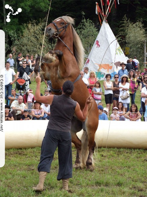 Fête western à 'Évires City', édition 2011 - les sam. 30 au soir et dim. 31 juillet 2011 toute la journée, Évires fait la fête sur le thème du western... – « Fête western à 'Évires City', édition 2011 » – Spectacles et animations équestres, show de line-dance, concerts acoustiques de musique country. – mots associés : évires, fête, western