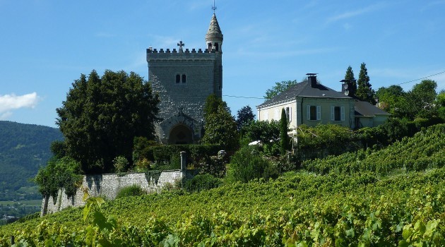 « Image du jour - 17/08/2014 - Randonnée dans les vignes à Chignin » — mots associés : photo