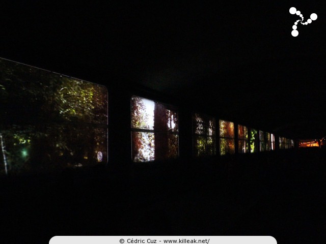 8 Décembre 2013 - Fête des Lumières - du ven. 06 au lun. 09 décembre 2013 ; Lyon, dans tous les arrondissements. – « 8 Décembre 2013 - Fête des Lumières » – mots associés : 8 décembre, fête, lumières, lyon