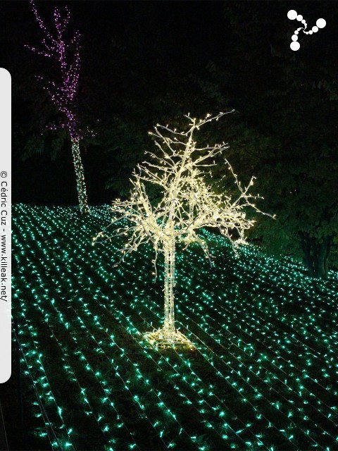 8 Décembre 2013 - Fête des Lumières - du ven. 06 au lun. 09 décembre 2013 ; Lyon, dans tous les arrondissements. – « 8 Décembre 2013 - Fête des Lumières » – mots associés : 8 décembre, fête, lumières, lyon