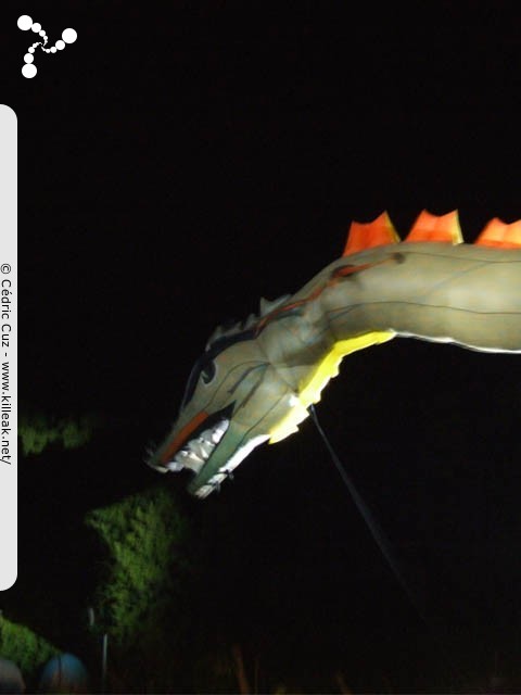 les Noctibules, Festival des Arts de Rue, édition 2007 - du mer. 18 au sam. 21 juillet 2007, dans les rues et sur les places du centre-ville, ainsi que sur le Pâquier, Annecy. – « les Noctibules, Festival des Arts de Rue, édition 2007 » – mots associés : noctibules
