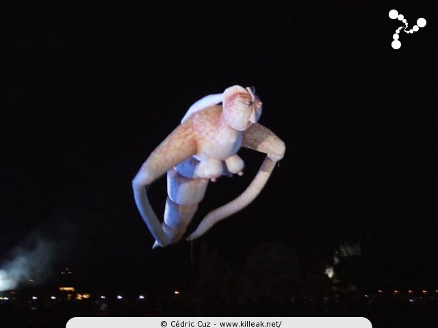 les Noctibules, Festival des Arts de Rue, édition 2007 - du mer. 18 au sam. 21 juillet 2007, dans les rues et sur les places du centre-ville, ainsi que sur le Pâquier, Annecy. – « les Noctibules, Festival des Arts de Rue, édition 2007 » – mots associés : noctibules