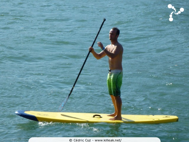 SUP in Town 2011 - Open de Lyon de Stand-Up Paddle - les sam. 10 et dim. 11 septembre 2011, sur le Rhône au niveau de la Fosse aux Ours, Lyon – « SUP in Town 2011 - Open de Lyon de Stand-Up Paddle » – Démonstrations et initiations grand public, mais aussi courses et relais pro de Stand-Up Paddle sur les eaux du Rhône, à Lyon – mots associés : stand-up paddle