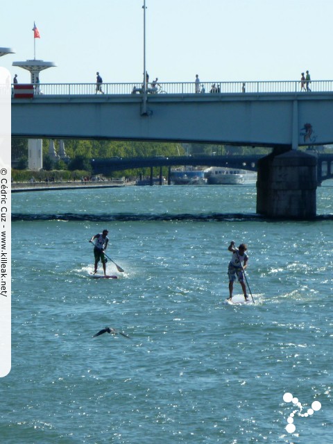 SUP in Town 2011 - Open de Lyon de Stand-Up Paddle - les sam. 10 et dim. 11 septembre 2011, sur le Rhône au niveau de la Fosse aux Ours, Lyon – « SUP in Town 2011 - Open de Lyon de Stand-Up Paddle » – Démonstrations et initiations grand public, mais aussi courses et relais pro de Stand-Up Paddle sur les eaux du Rhône, à Lyon – mots associés : stand-up paddle