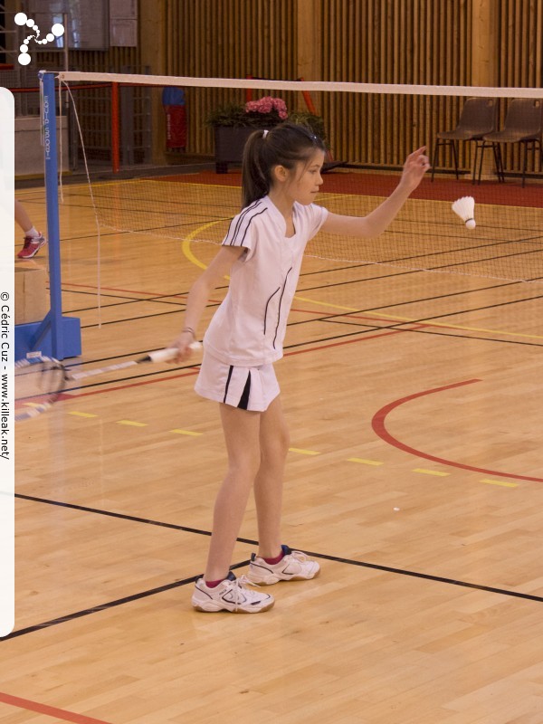22e Tournoi International de Badminton d'Annecy - les sam. 19, dim. 20 et lun. 21 avril 2014, salle Chatenoud, gymnases des Balmettes et de Berthollet, Annecy. – « 22e Tournoi International de Badminton d'Annecy » – Tournoi International de l'ABC74 nouvelle formule, avec 3 jours de matchs –
