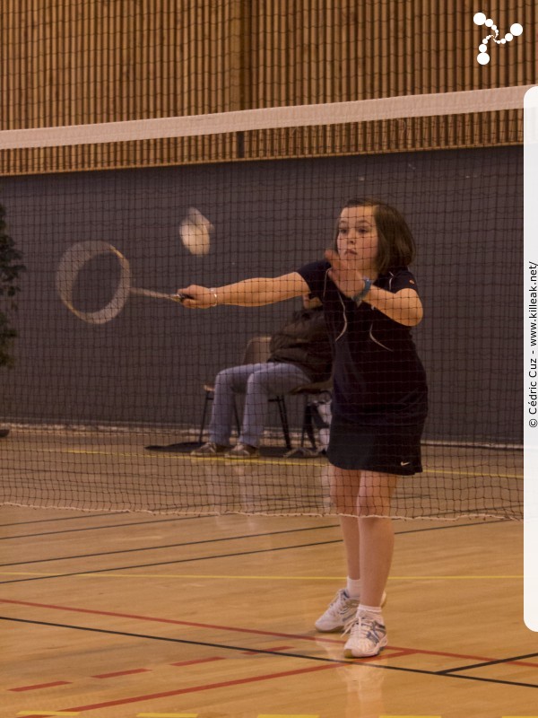 22e Tournoi International de Badminton d'Annecy - les sam. 19, dim. 20 et lun. 21 avril 2014, salle Chatenoud, gymnases des Balmettes et de Berthollet, Annecy. – « 22e Tournoi International de Badminton d'Annecy » – Tournoi International de l'ABC74 nouvelle formule, avec 3 jours de matchs –